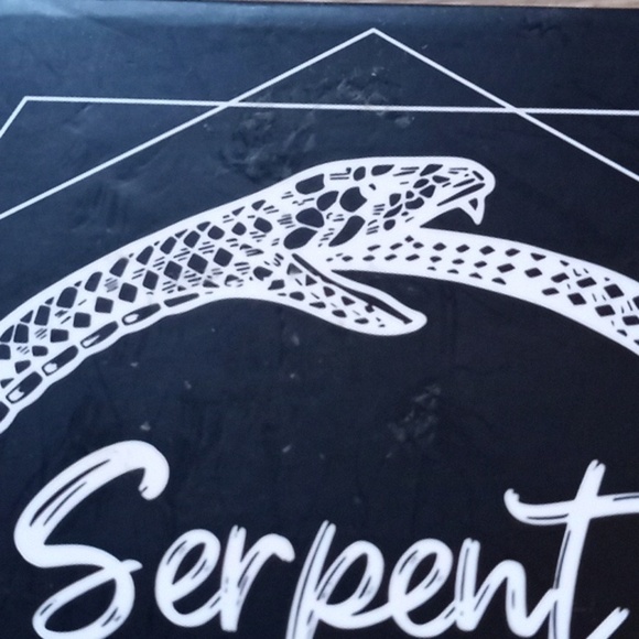 Serpent & Dove Book Series Fairyloot 4 Coaster Set Foiled Theme: Spellcraft Art - Picture 4 of 11